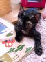 Zoe